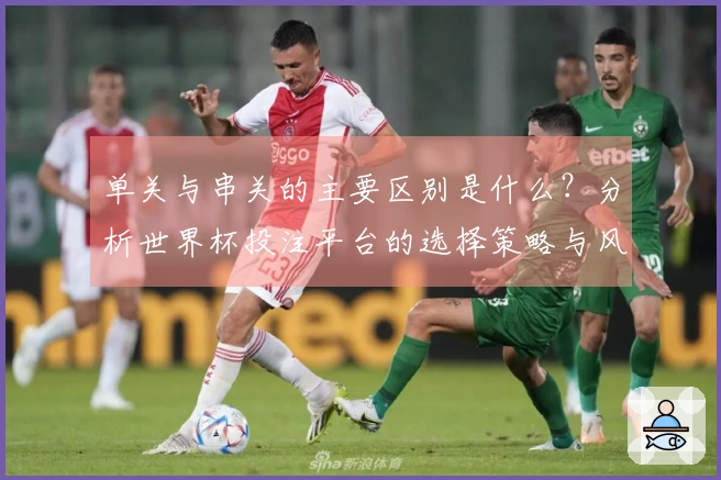 单关与串关的主要区别是什么？分析世界杯投注平台的选择策略与风险管理