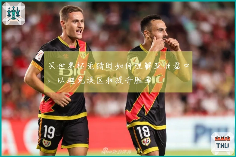 买世界杯竞猜时如何理解亚洲盘口,以避免误区和提升胜率