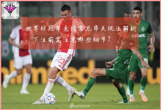世界杯冠军竞猜常见串关玩法解析，下注前需注意哪些细节？