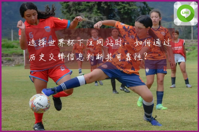 选择世界杯下注网站时，如何通过历史交锋信息判断其可靠性？