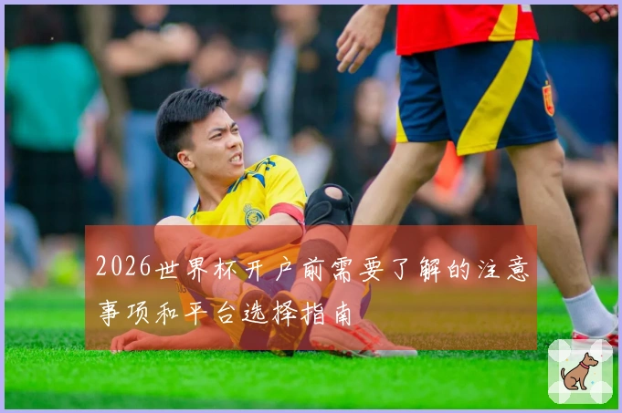 2026世界杯开户前需要了解的注意事项和平台选择指南