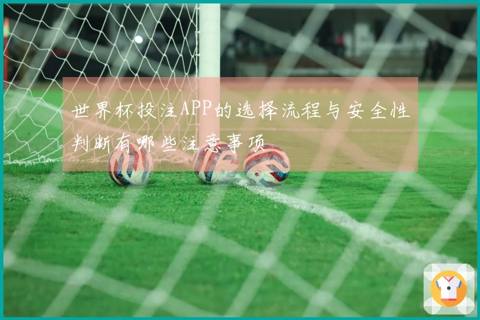 世界杯投注APP的选择流程与安全性判断有哪些注意事项