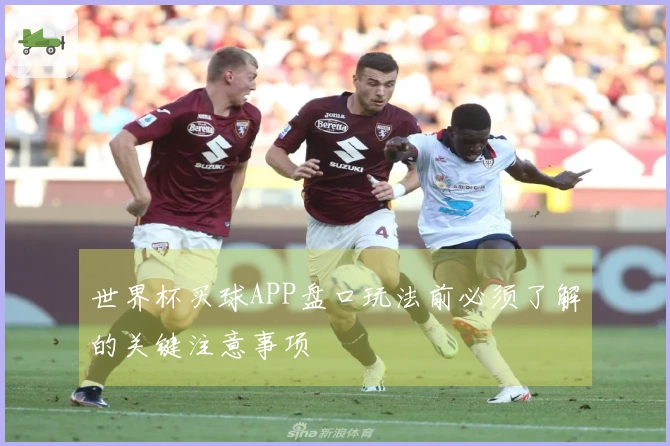 世界杯买球APP盘口玩法前必须了解的关键注意事项