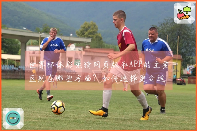 世界杯体彩竞猜网页版和APP的主要区别在哪些方面？如何选择更合适的下注方式？