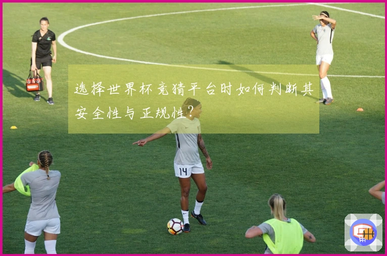 选择世界杯竞猜平台时如何判断其安全性与正规性?