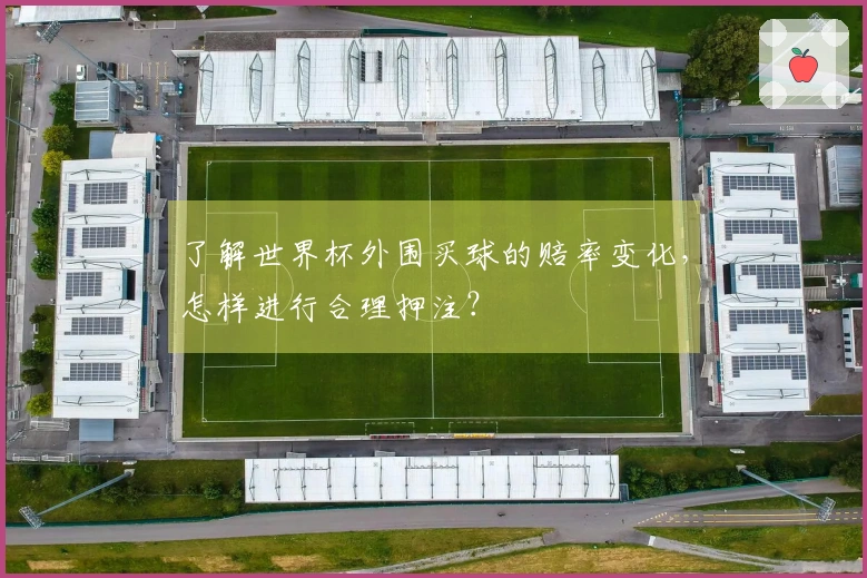 了解世界杯外围买球的赔率变化，怎样进行合理押注？