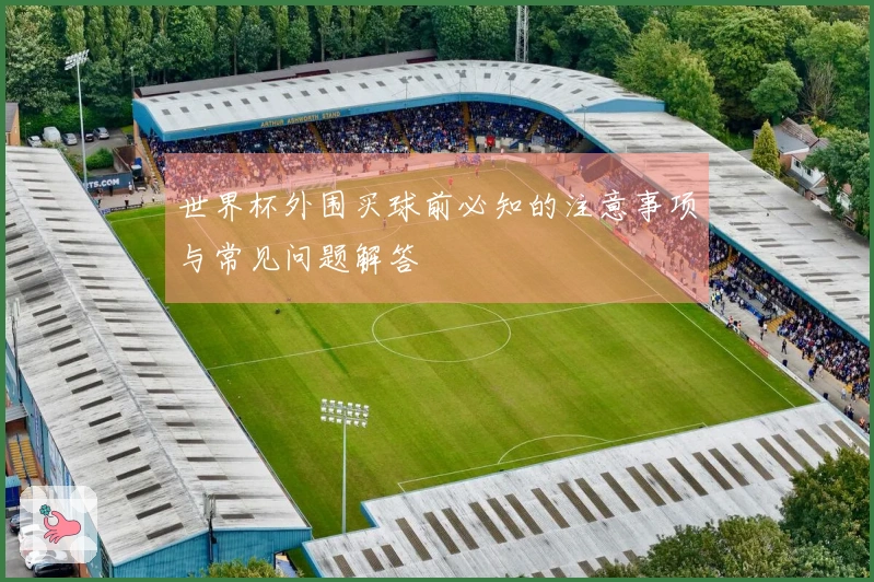 世界杯外围买球前必知的注意事项与常见问题解答