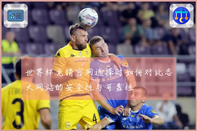 世界杯竞猜官网选择时如何对比各大网站的安全性与可靠性