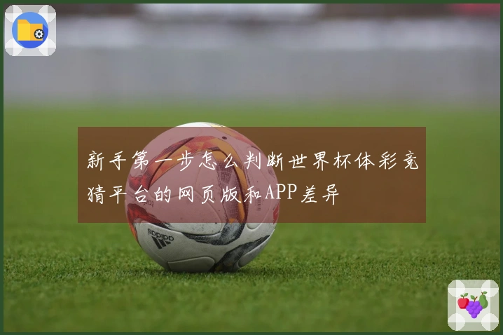 新手第一步怎么判断世界杯体彩竞猜平台的网页版和APP差异