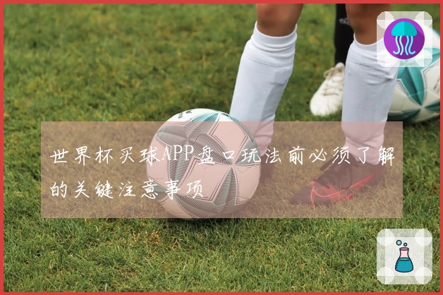 世界杯买球APP盘口玩法前必须了解的关键注意事项