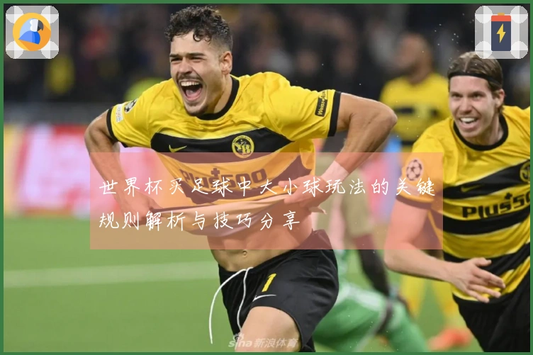 世界杯买足球中大小球玩法的关键规则解析与技巧分享