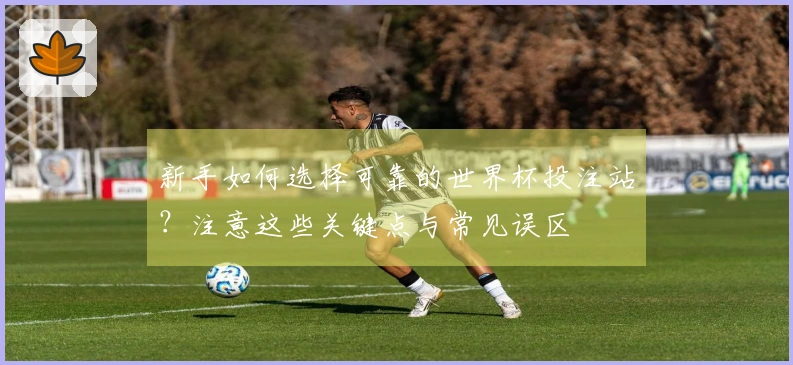 新手如何选择可靠的世界杯投注站？注意这些关键点与常见误区