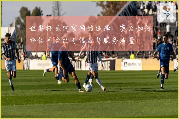 世界杯竞猜官网的选择：赛后如何评估平台的可信度与服务质量