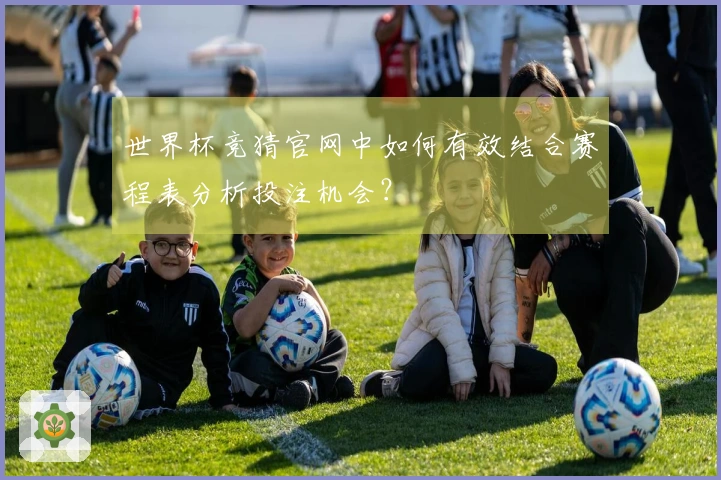 世界杯竞猜官网中如何有效结合赛程表分析投注机会？