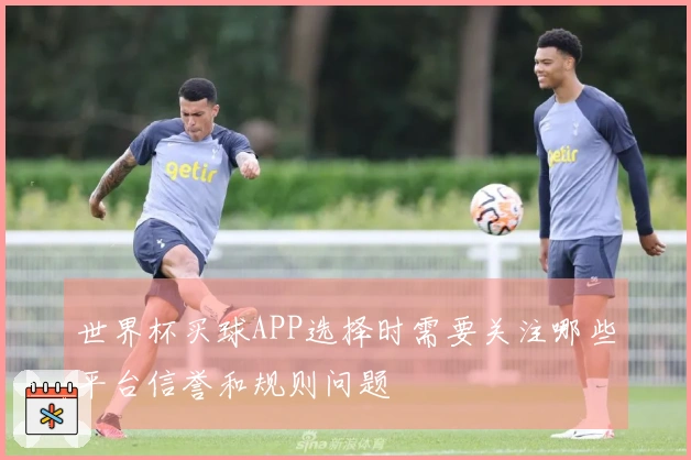 世界杯买球APP选择时需要关注哪些平台信誉和规则问题