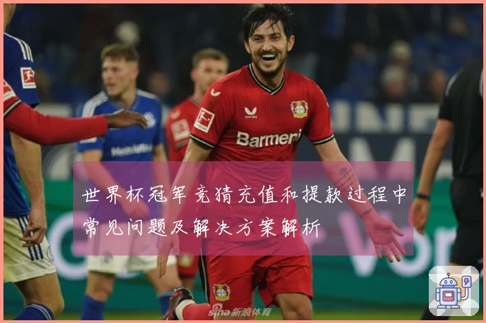 世界杯冠军竞猜充值和提款过程中常见问题及解决方案解析