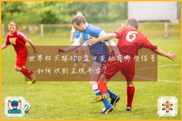 世界杯买球app盘口变动有哪些信号，如何识别正规平台？