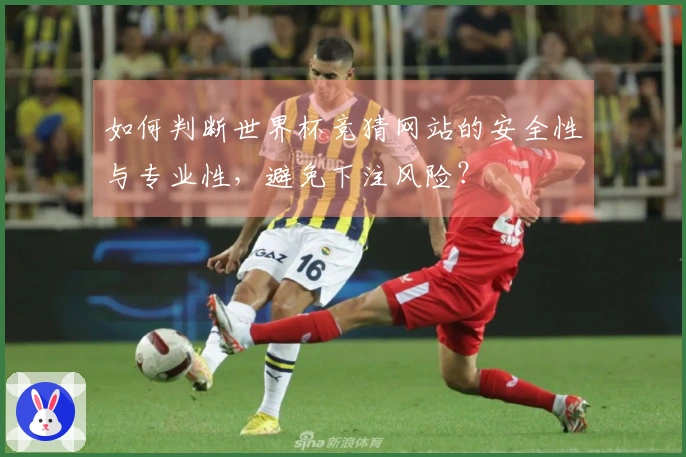 如何判断世界杯竞猜网站的安全性与专业性，避免下注风险？