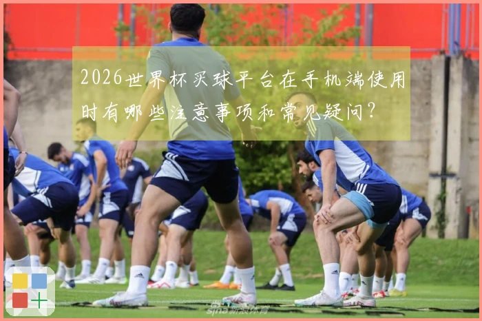 2026世界杯买球平台在手机端使用时有哪些注意事项和常见疑问？