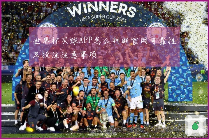 世界杯买球APP怎么判断官网可靠性及投注注意事项