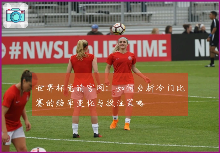 世界杯竞猜官网：如何分析冷门比赛的赔率变化与投注策略