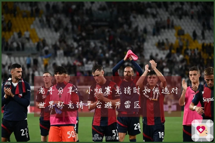 老手分享：小组赛竞猜时如何选对世界杯竞猜平台避开雷区
