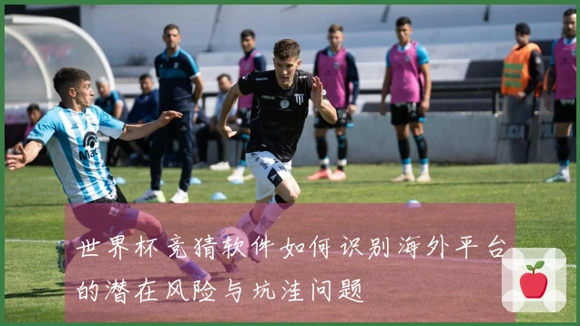 世界杯竞猜软件如何识别海外平台的潜在风险与坑洼问题
