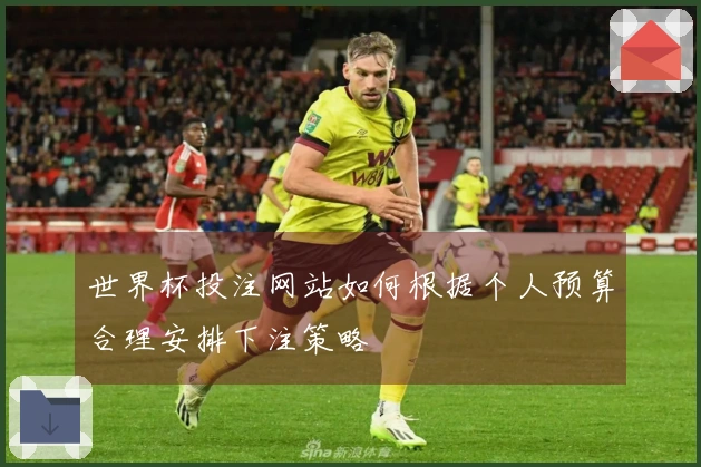 世界杯投注网站如何根据个人预算合理安排下注策略