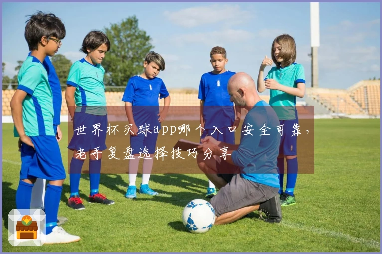 世界杯买球app哪个入口安全可靠，老手复盘选择技巧分享
