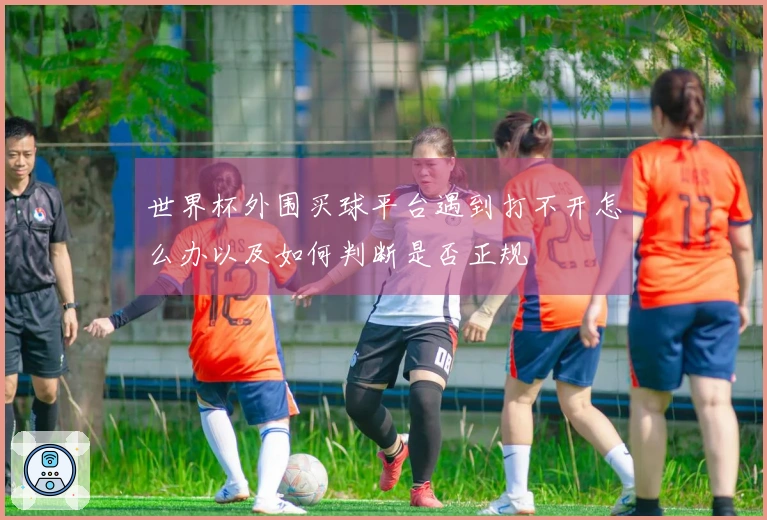 世界杯外围买球平台遇到打不开怎么办以及如何判断是否正规