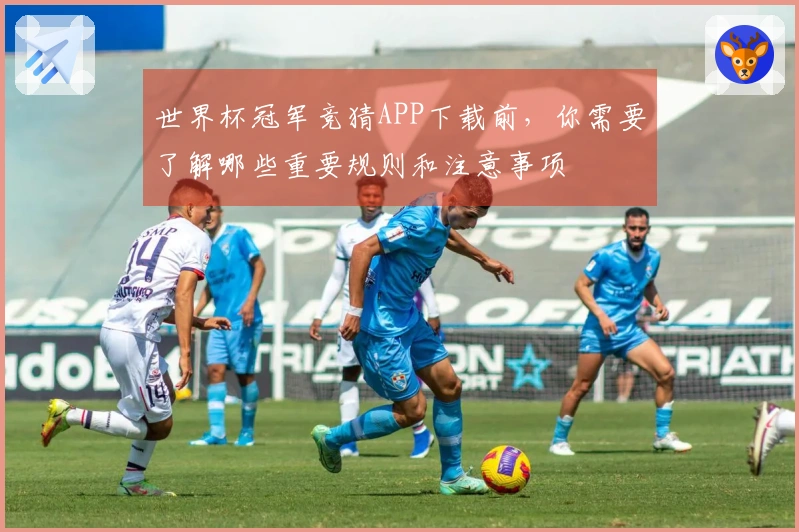 世界杯冠军竞猜APP下载前，你需要了解哪些重要规则和注意事项