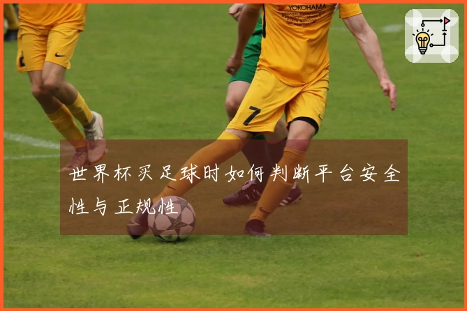 世界杯买足球时如何判断平台安全性与正规性