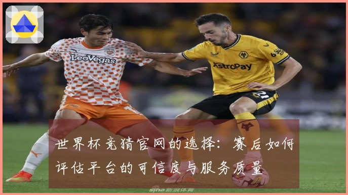 世界杯竞猜官网的选择：赛后如何评估平台的可信度与服务质量