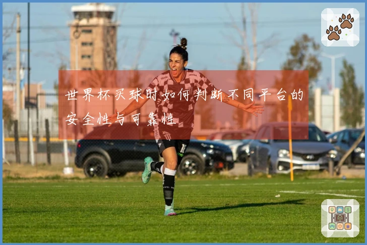 世界杯买球时如何判断不同平台的安全性与可靠性