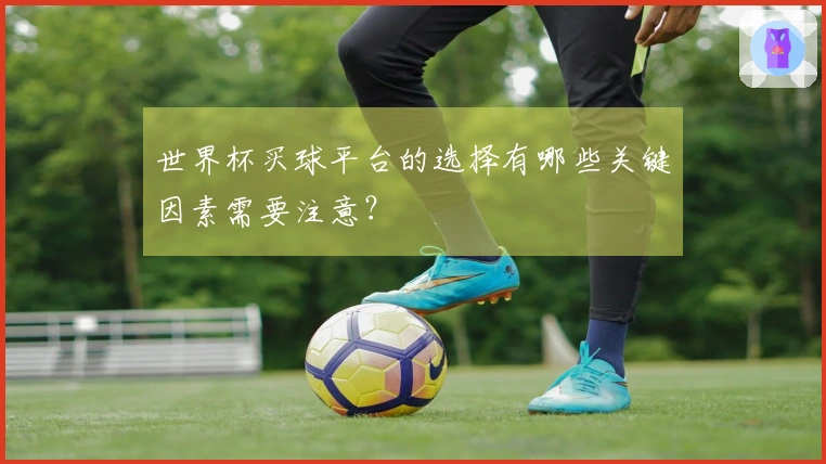 世界杯买球平台的选择有哪些关键因素需要注意？