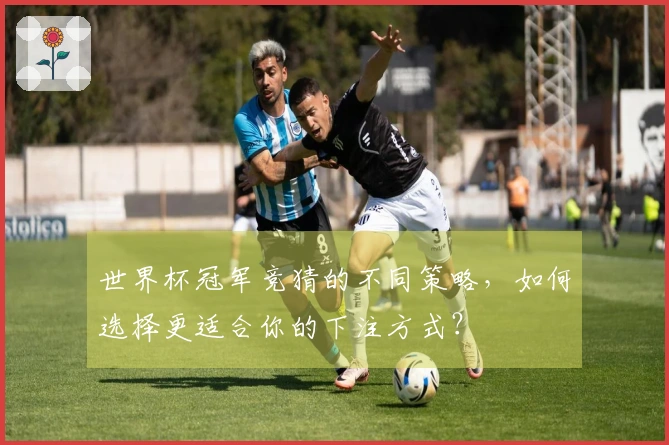 世界杯冠军竞猜的不同策略，如何选择更适合你的下注方式？