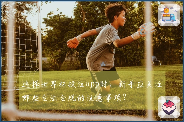 选择世界杯投注app时，新手应关注哪些合法合规的注意事项？