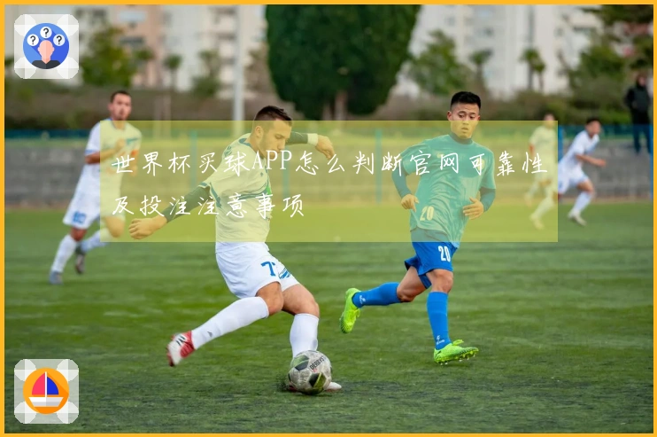 世界杯买球APP怎么判断官网可靠性及投注注意事项