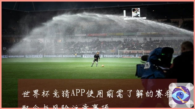 世界杯竞猜APP使用前需了解的赛程配合与风险注意事项