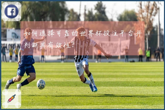 如何选择可靠的世界杯投注平台并判断其有效性？