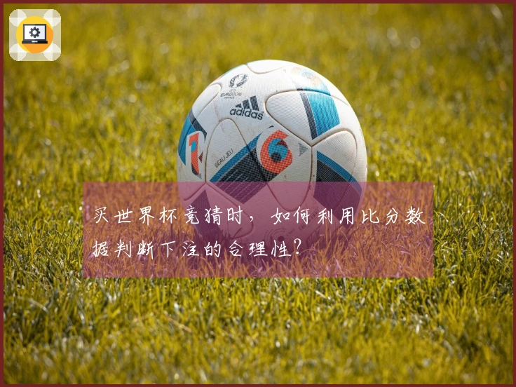 买世界杯竞猜时，如何利用比分数据判断下注的合理性？