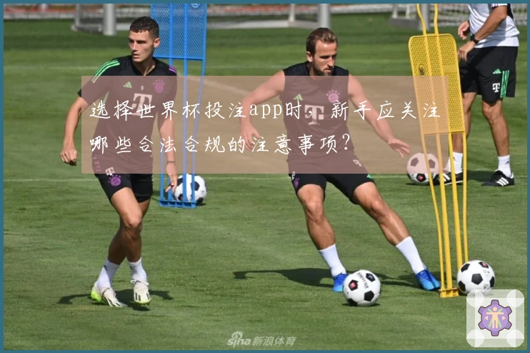 选择世界杯投注app时，新手应关注哪些合法合规的注意事项？